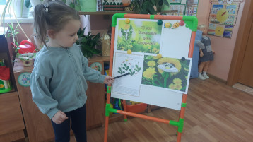 День одуванчика День одуванчика.